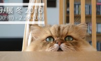 2016年猫の日に行って欲しい♡全国の猫好きイベント・スポット