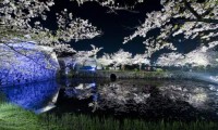 中心部から隠れた名所まで！福岡県内の桜の名所・おすすめ3選