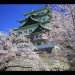春間近♪名古屋でお花見が楽しめる人気「桜」スポットをご紹介！