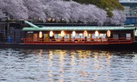 屋形船でお花見！水の上で優雅に楽しむ横浜・東京・大阪3選
