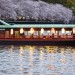 屋形船でお花見！水の上で優雅に楽しむ横浜・東京・大阪3選