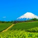 日本一の山・富士山を抱く「静岡」で一人暮らし！いいぞお！