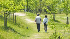 緑豊かな散歩道を歩く老夫婦